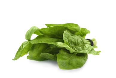 Photo of Bundle of fresh spinach isolated on white