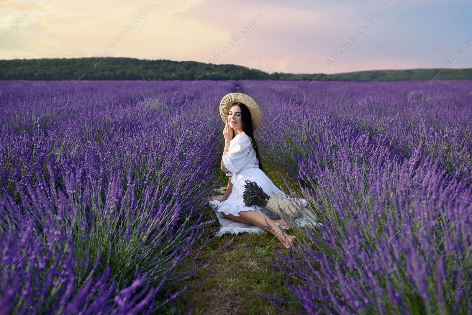 Photo of Beautiful young woman sitting in lavender field