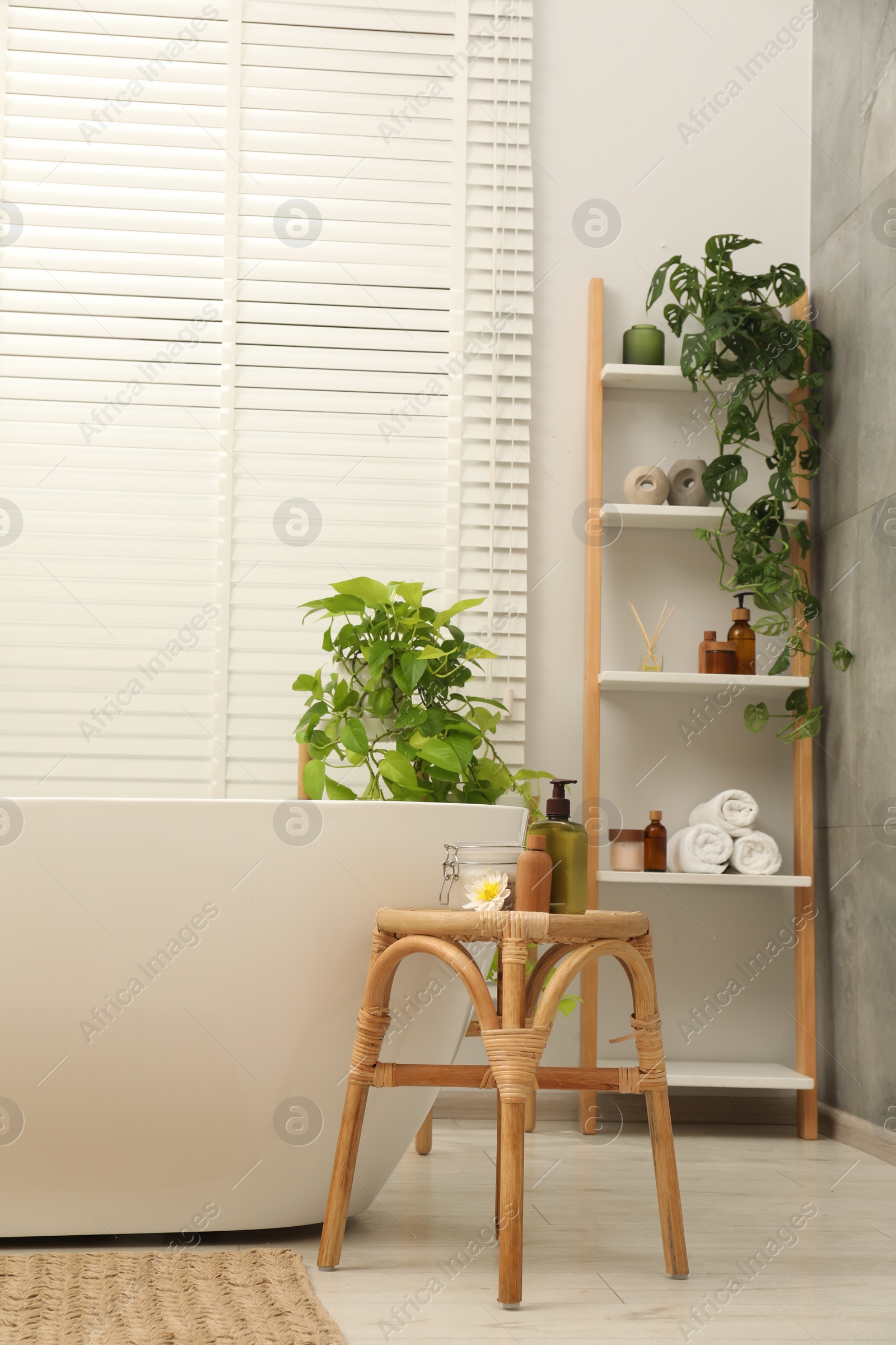 Photo of Stylish bathroom interior with ceramic tub, spa products and green houseplants