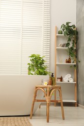 Photo of Stylish bathroom interior with ceramic tub, spa products and green houseplants