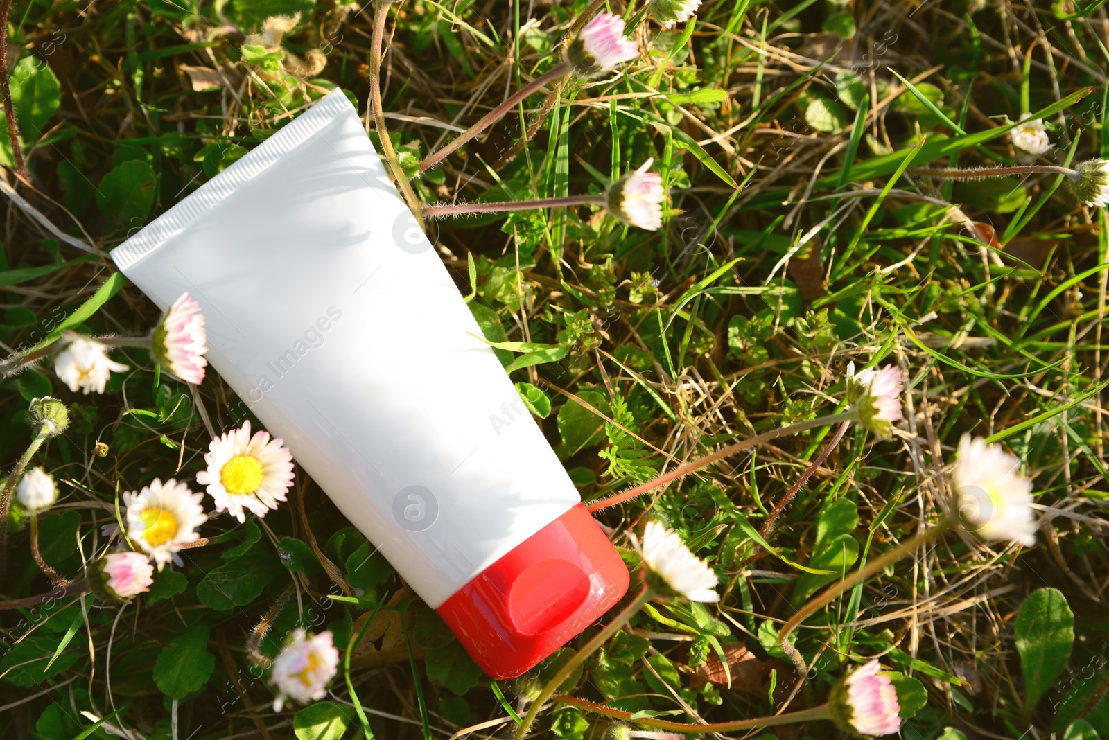 Photo of Tube of cream in green grass outdoors on sunny day, top view. Space for text