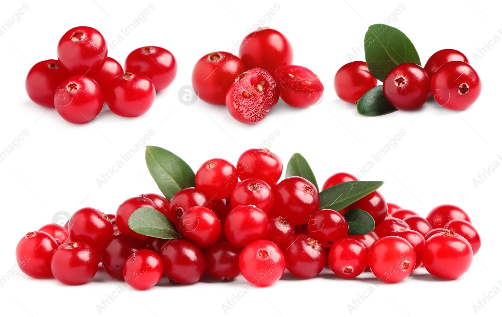 Image of Set of fresh ripe cranberries on white background