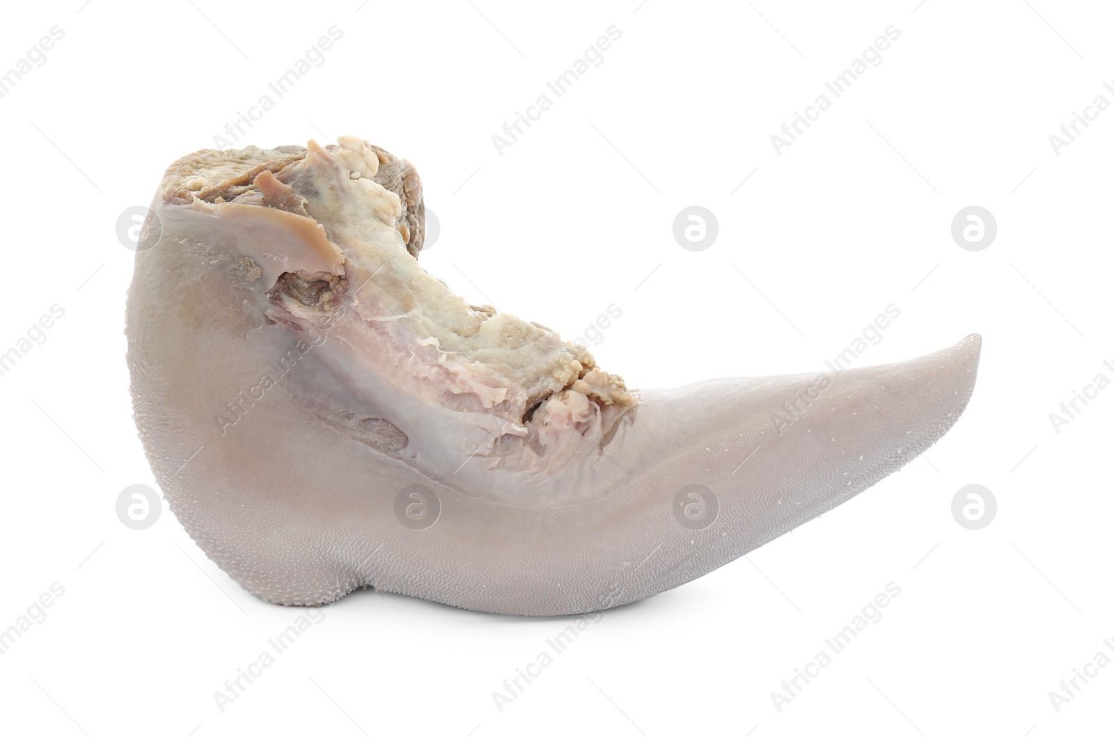 Photo of Freshly cooked beef tongue isolated on white