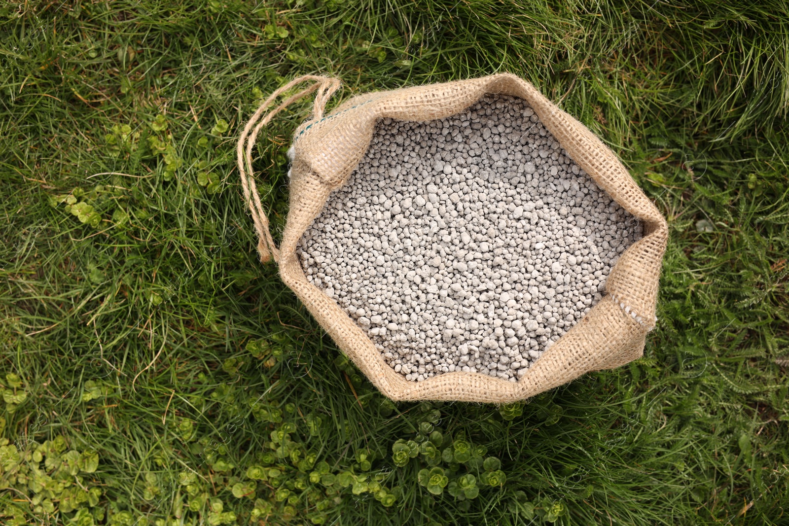 Photo of Fertilizer in bag on green grass outdoors, top view