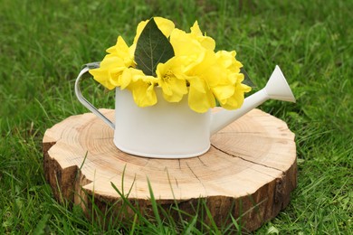 Photo of White watering can with beautiful yellow oenothera flowers on stump outdoors