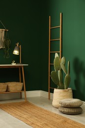 Potted cactus near green wall in room