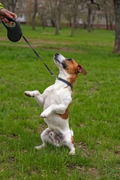 Photo of Woman with adorable Jack Russel Terrier outdoors, closeup