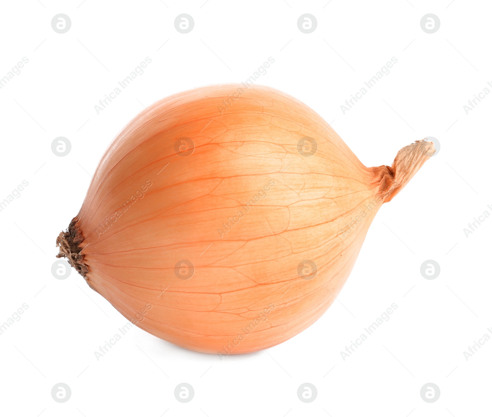 Photo of Fresh ripe onion bulb on white background