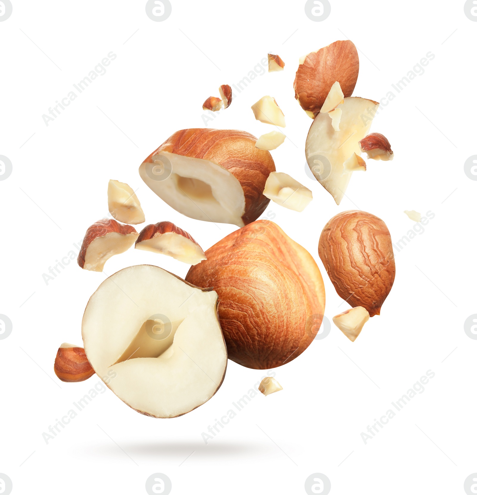 Pieces of tasty hazelnuts falling on white background Image of Pieces of tasty hazelnuts falling on white background