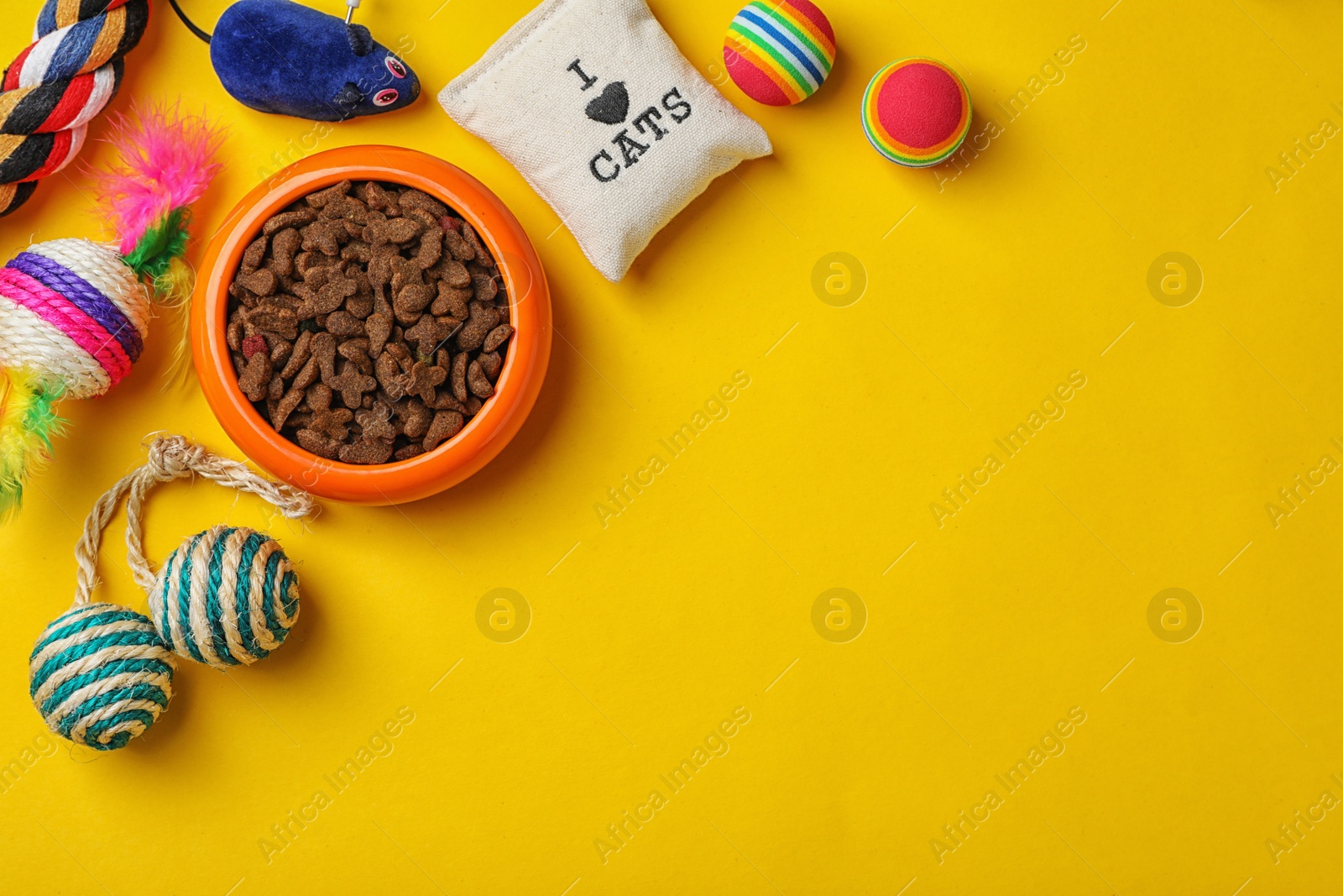 Photo of Bowl with food for cat and accessories on color background. Pet care