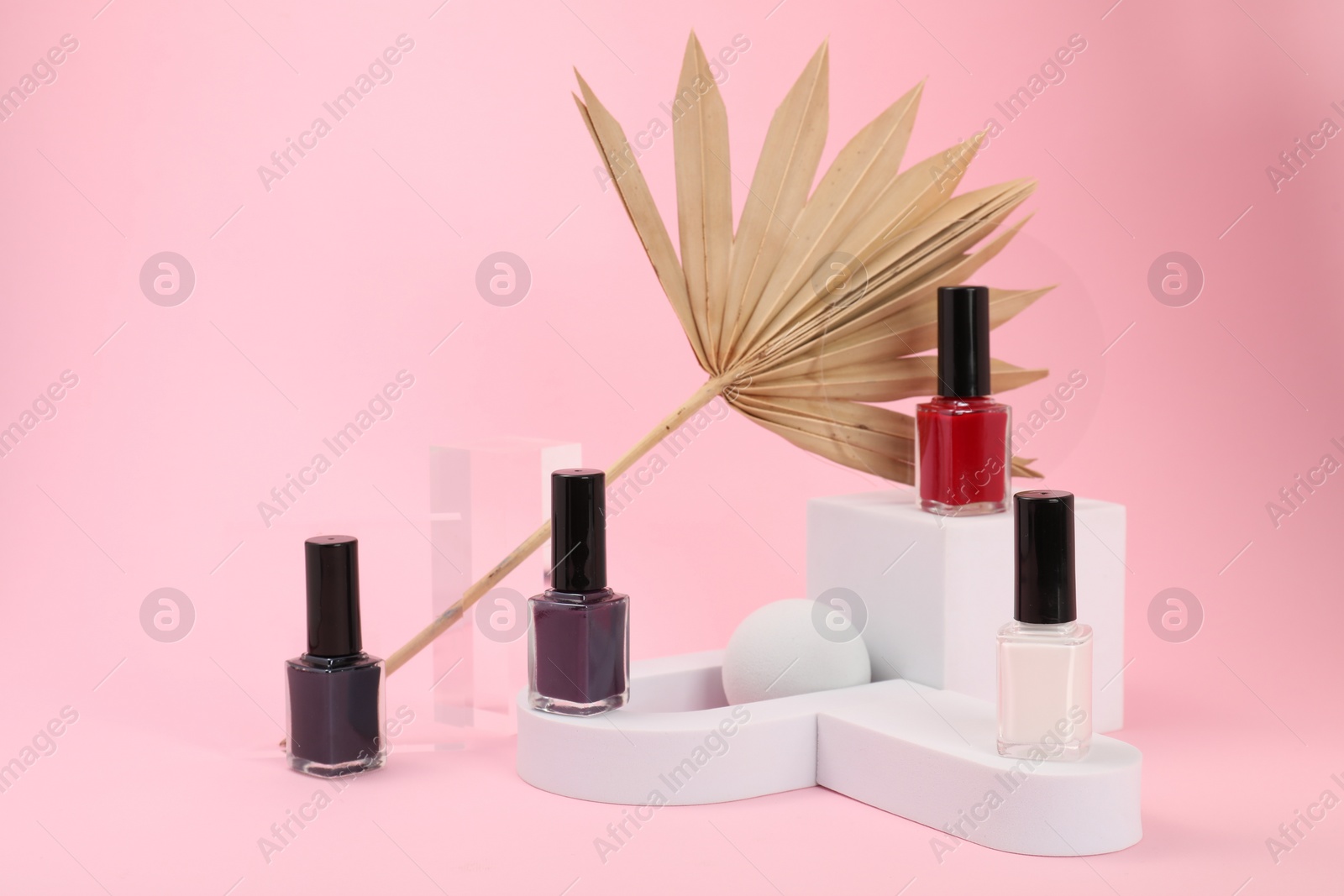 Photo of Stylish presentation of nail polishes on pink background