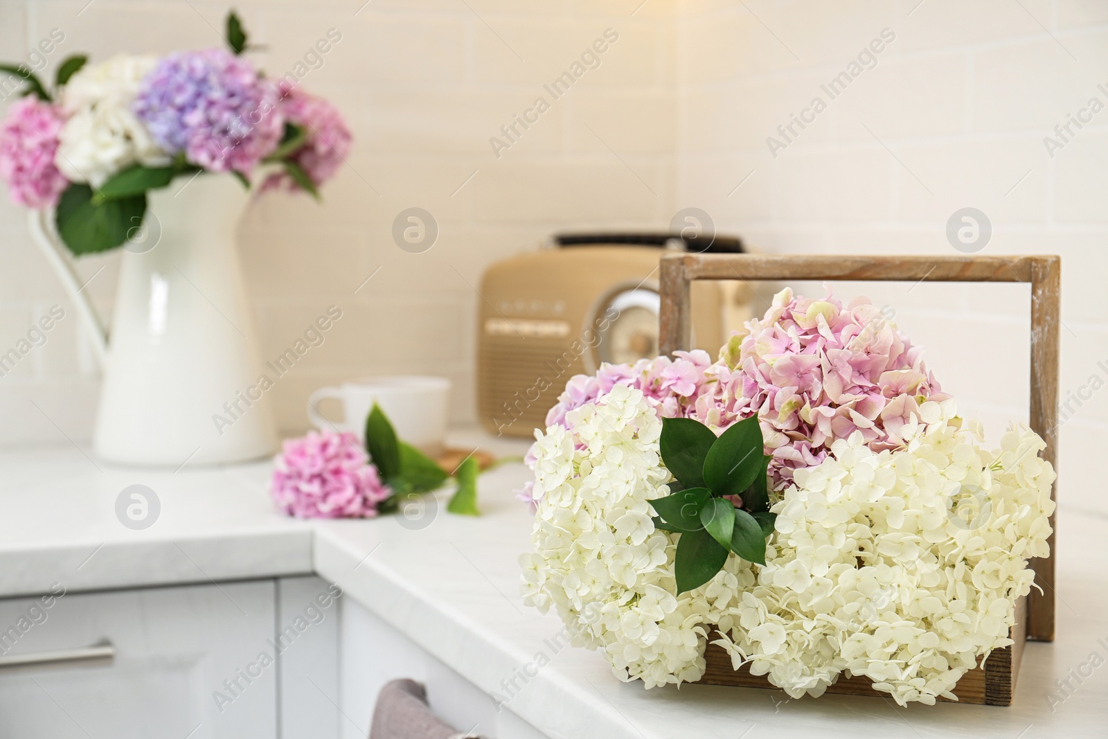 Photo of Beautiful bouquet of hydrangea flowers on light countertop, closeup