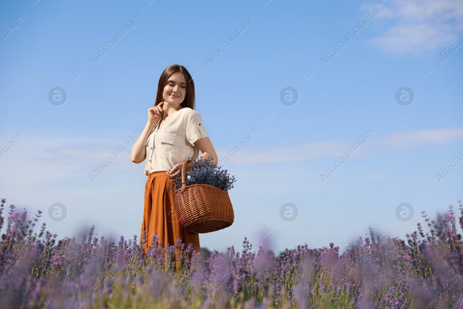 Photo of Young woman with wicker basket full of lavender flowers in field