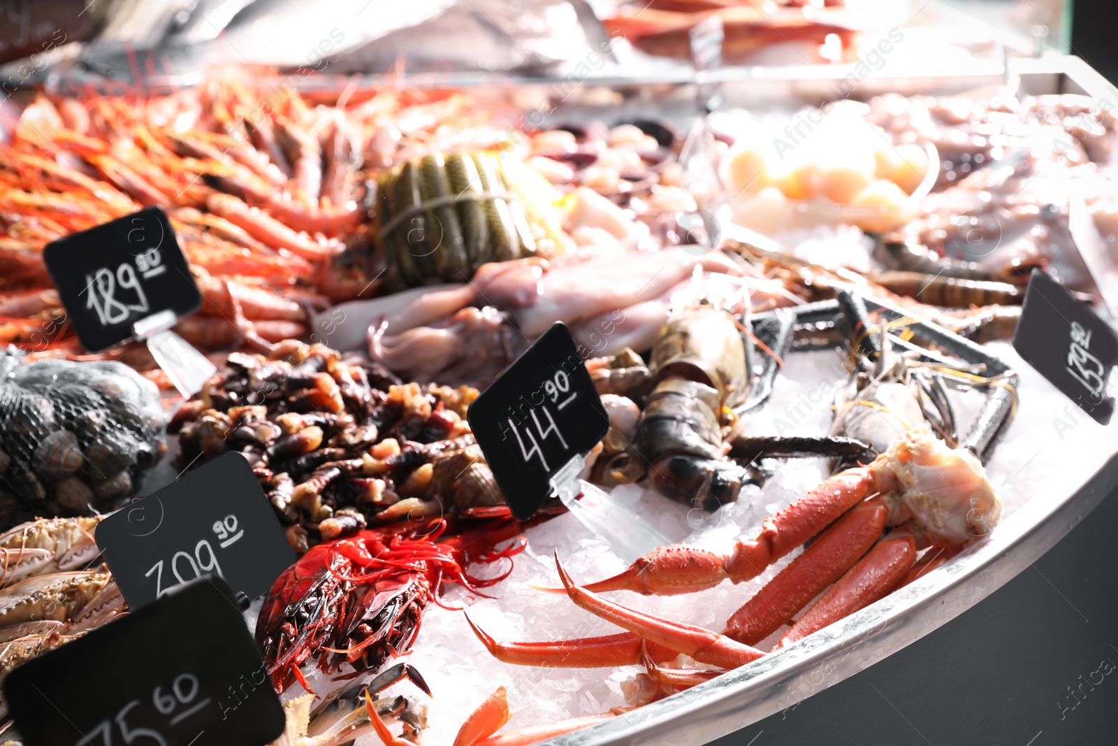 Photo of Different types of fresh seafood on ice in supermarket