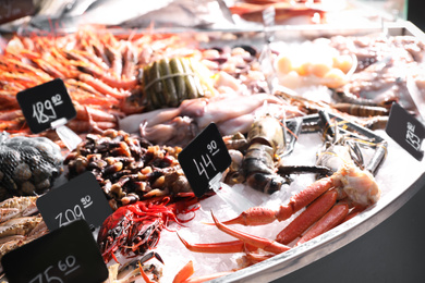 Different types of fresh seafood on ice in supermarket