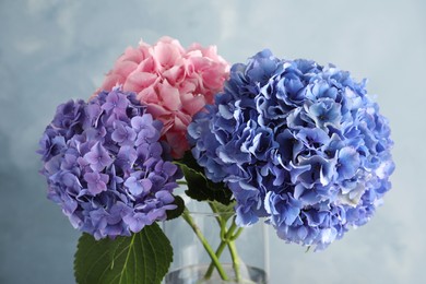 Vase with beautiful hortensia flowers on color background, closeup