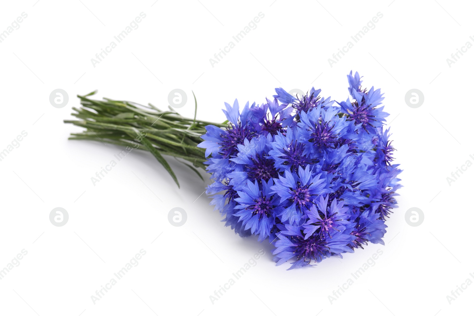 Photo of Beautiful bouquet of cornflowers isolated on white