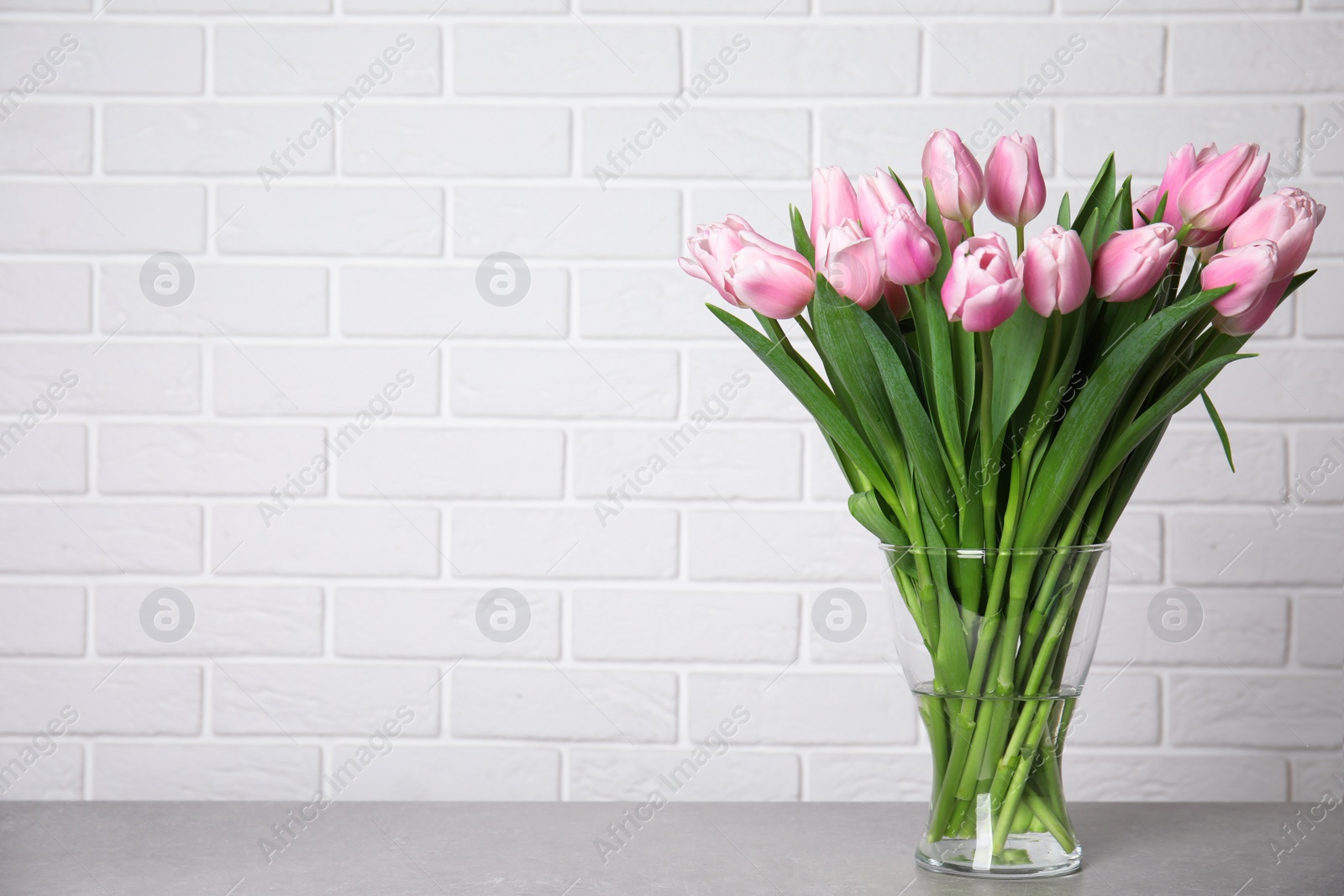 Photo of Beautiful pink spring tulips in vase on grey table. Space for text