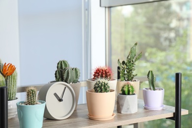 Photo of Beautiful cacti in flowerpots and clock on shelf