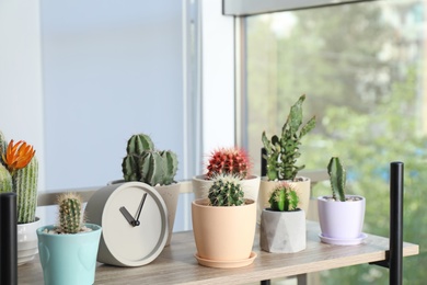 Beautiful cacti in flowerpots and clock on shelf