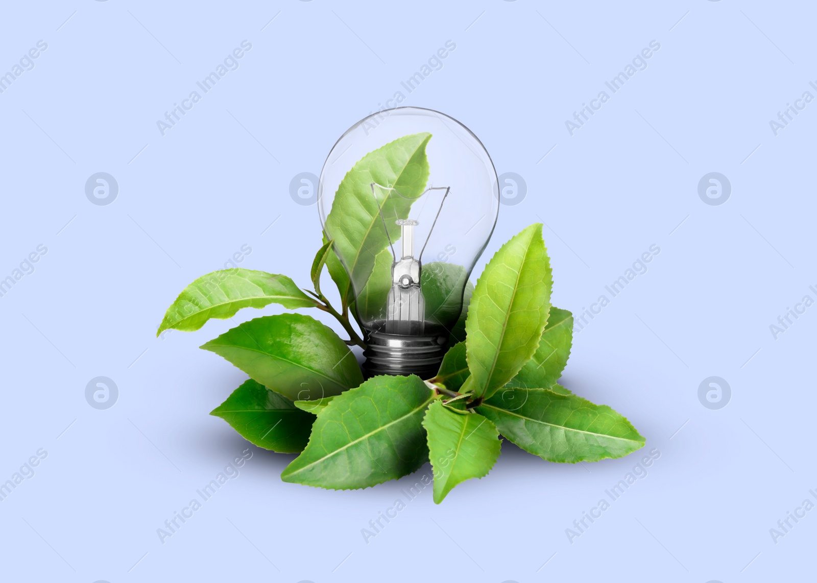 Image of Saving energy, eco-friendly lifestyle. Light bulb and fresh green leaves on light blue background