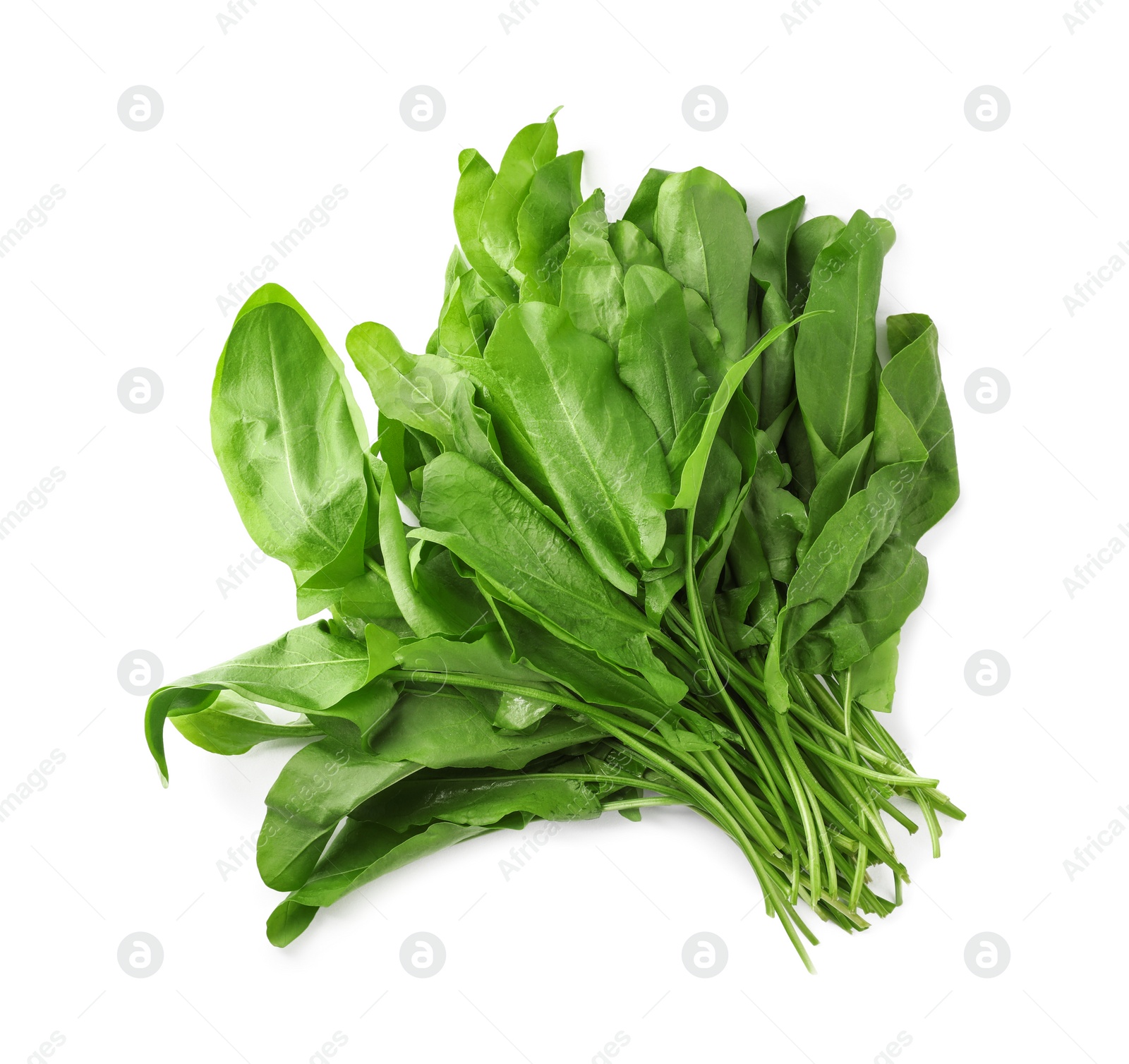 Photo of Bunch of fresh green sorrel leaves on white background, above view