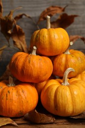 Photo of Thanksgiving day. Beautiful composition with pumpkins on table, closeup