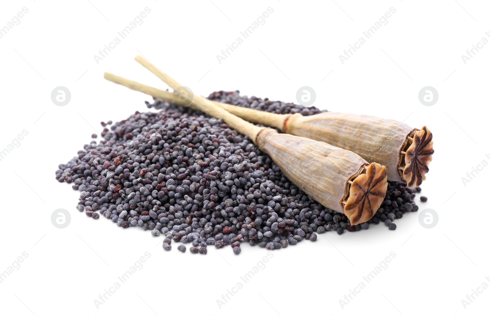 Photo of Dry poppyheads and pile of seeds on white background