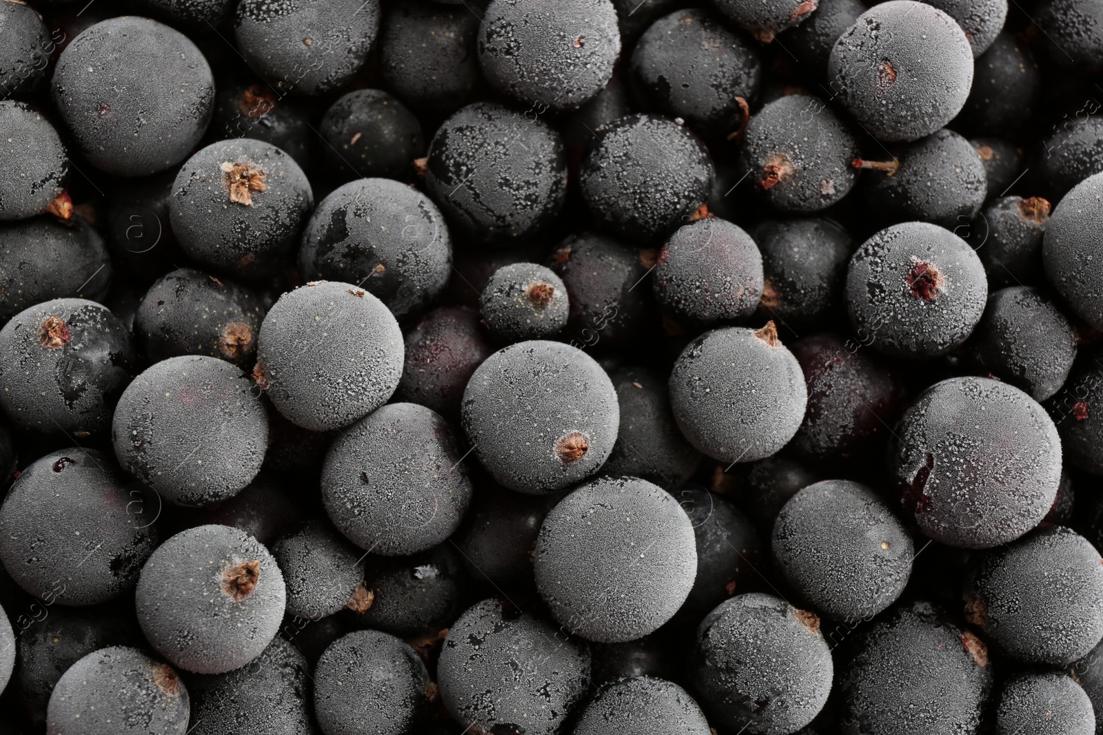 Photo of Tasty frozen black currants as background, top view