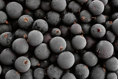 Photo of Tasty frozen black currants as background, top view