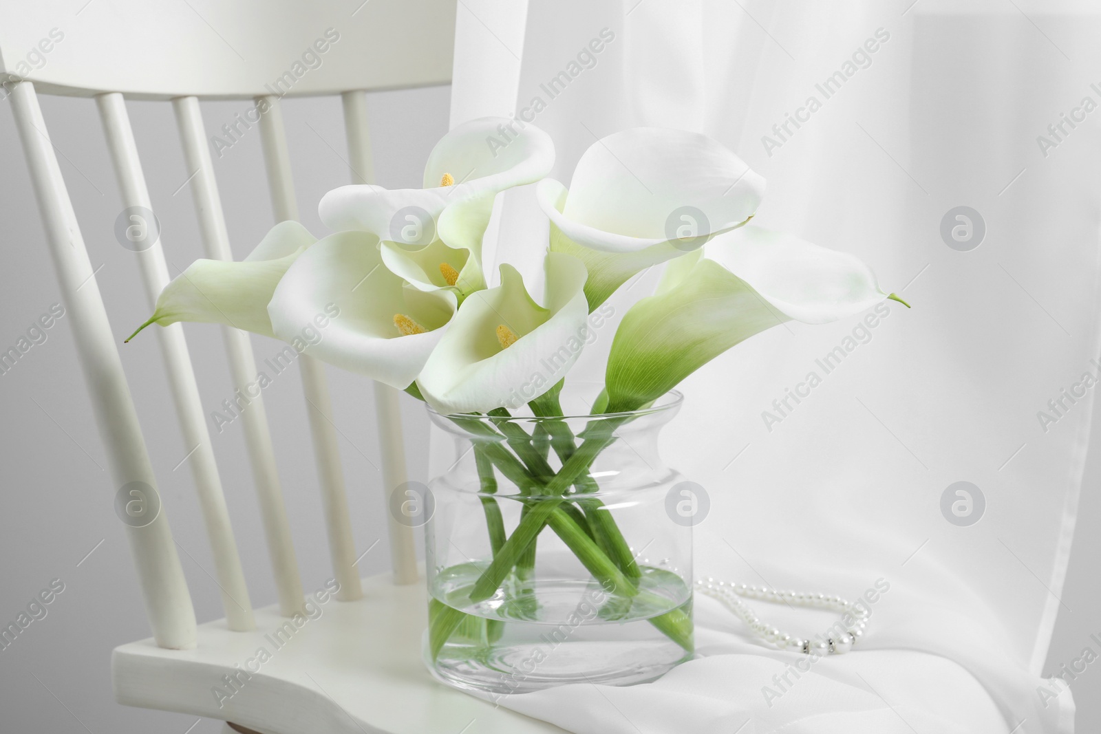 Photo of Beautiful calla lily flowers in glass vase on white chair indoors