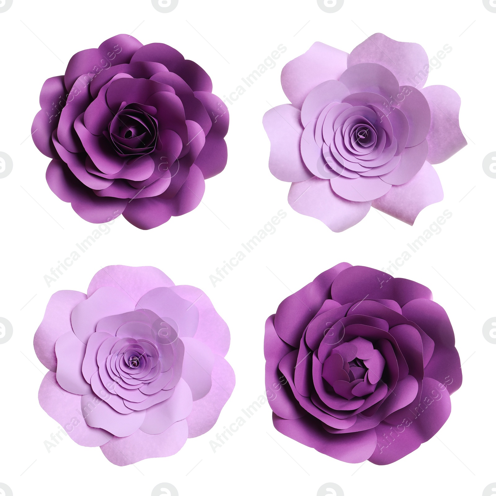 Image of Set with beautiful flowers made of paper on white background, top view 