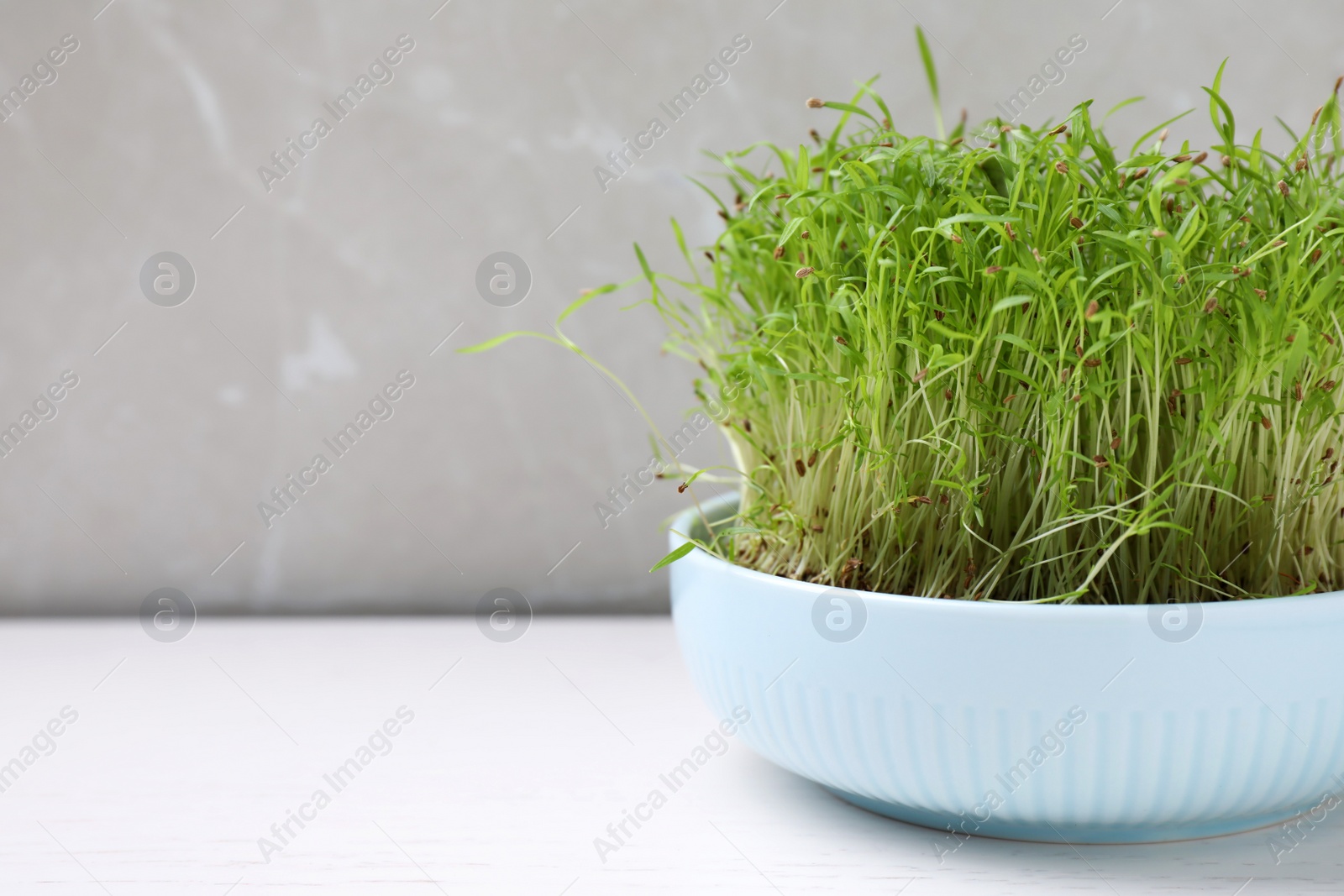 Photo of Fresh organic microgreen in pot on white table, space for text