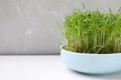 Fresh organic microgreen in pot on white table, space for text