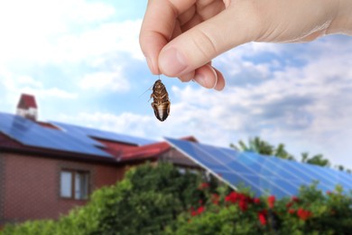 Woman holding dead cockroach and blurred view of modern house on background. Pest control