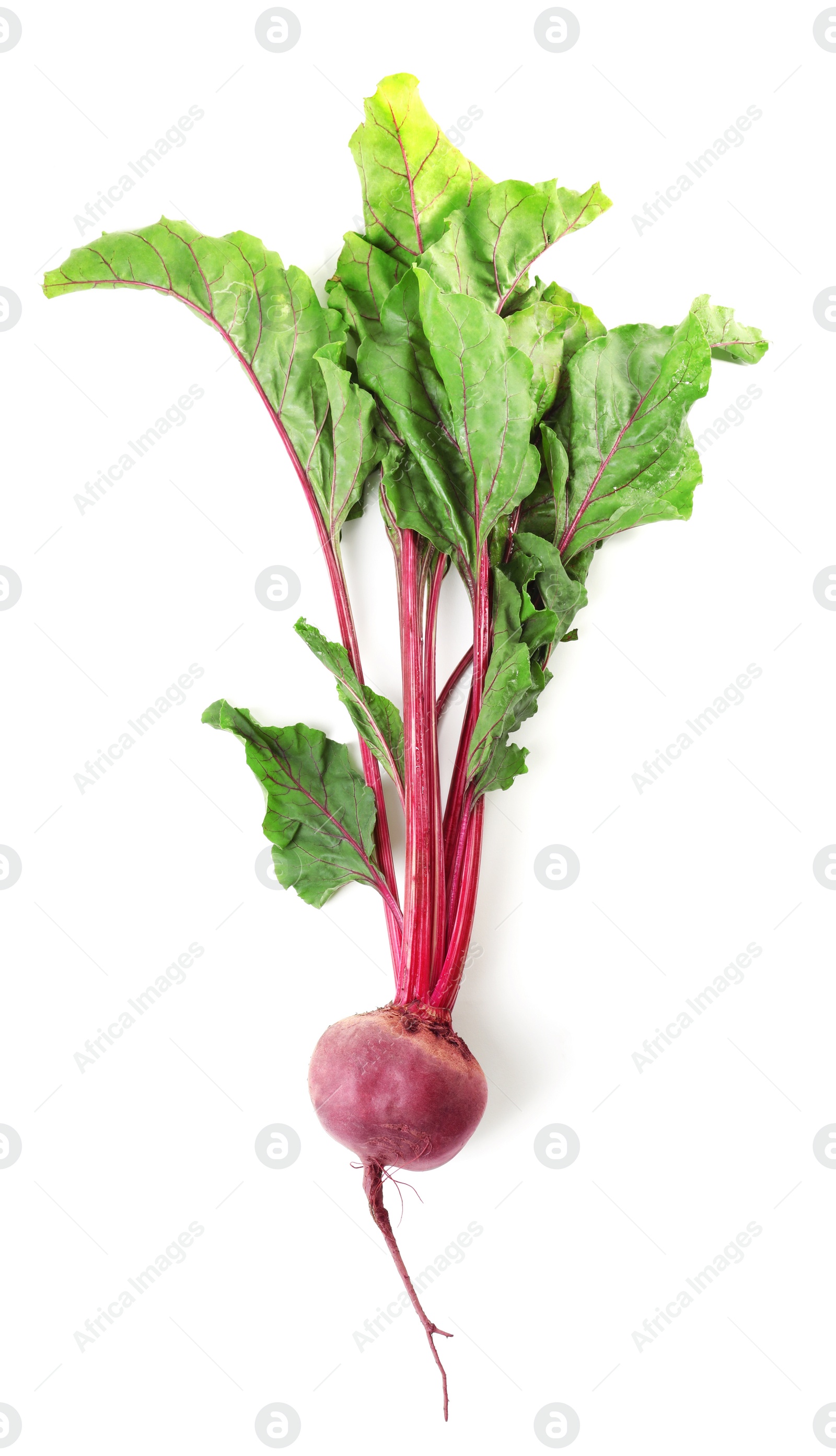 Photo of Raw ripe beet with leaves isolated on white