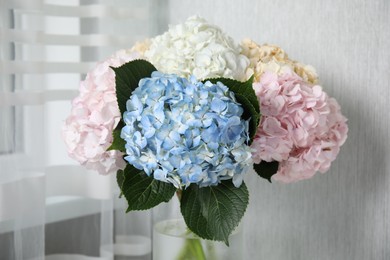 Photo of Beautiful hydrangea flowers in vase indoors, closeup