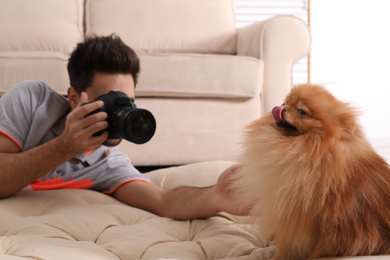 Photo of Professional animal photographer taking picture of beautiful Pomeranian spitz dog at home