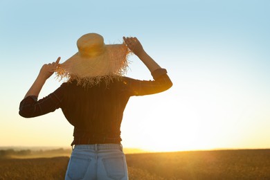 Woman wearing straw hat in ripe wheat field on sunny day, back view. Space for text