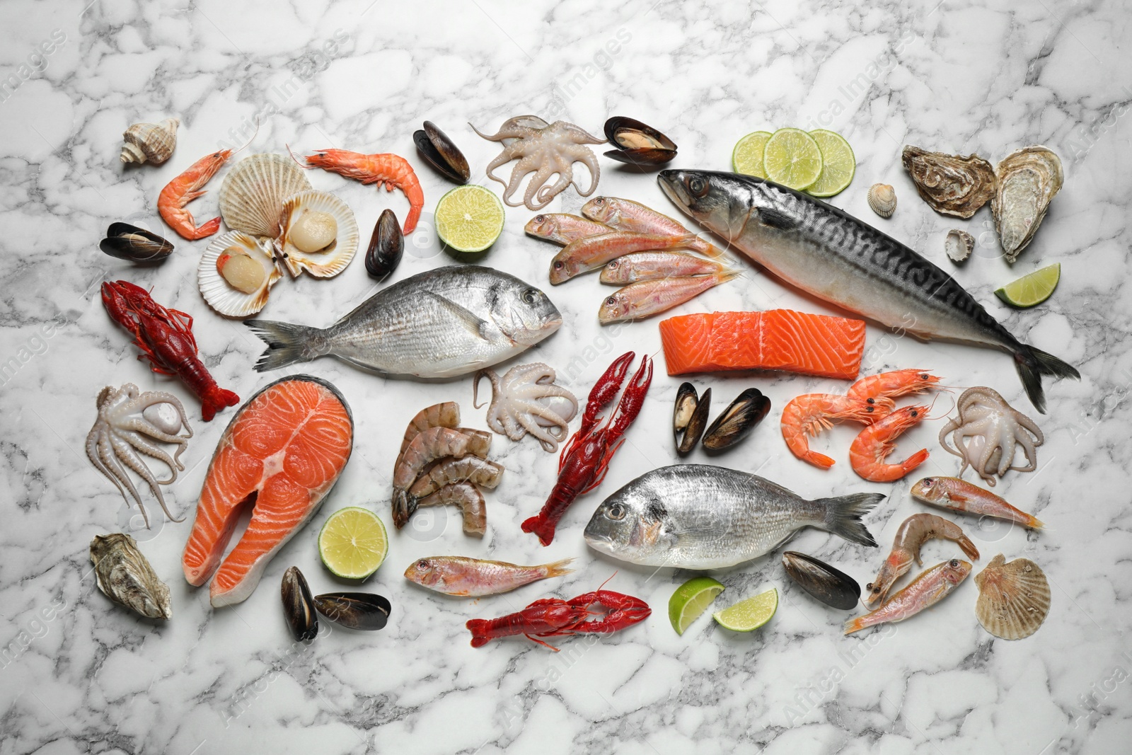 Photo of Fresh fish and different seafood on white marble table, flat lay