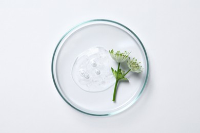 Photo of Petri dish with sample of cosmetic oil and flowers on white background, top view