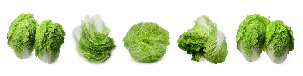 Collage with fresh Chinese cabbages on white background