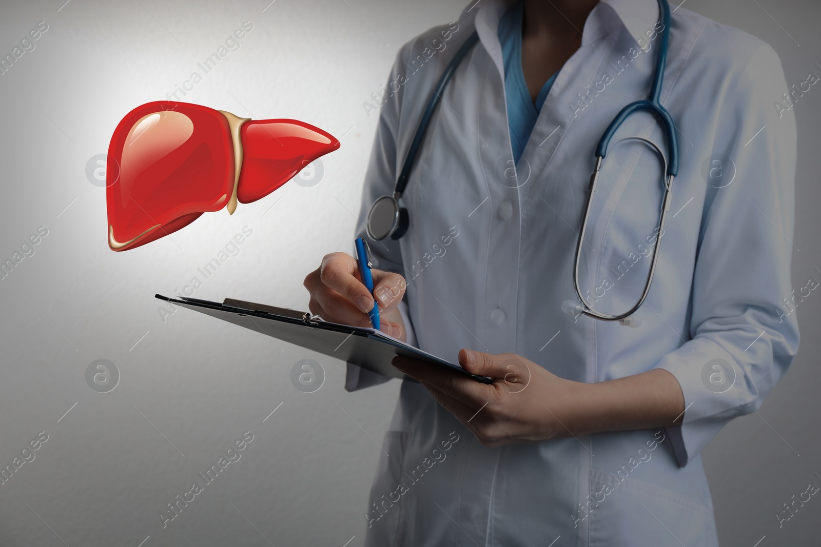 Image of Doctor with clipboard and illustration of healthy liver on light grey background, closeup