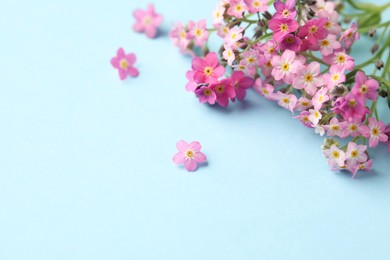 Photo of Beautiful Forget-me-not flowers on light blue background, closeup. Space for text
