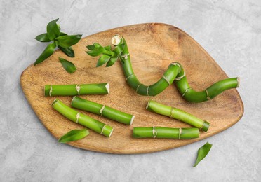 Pieces of beautiful green bamboo stems on light grey table, flat lay