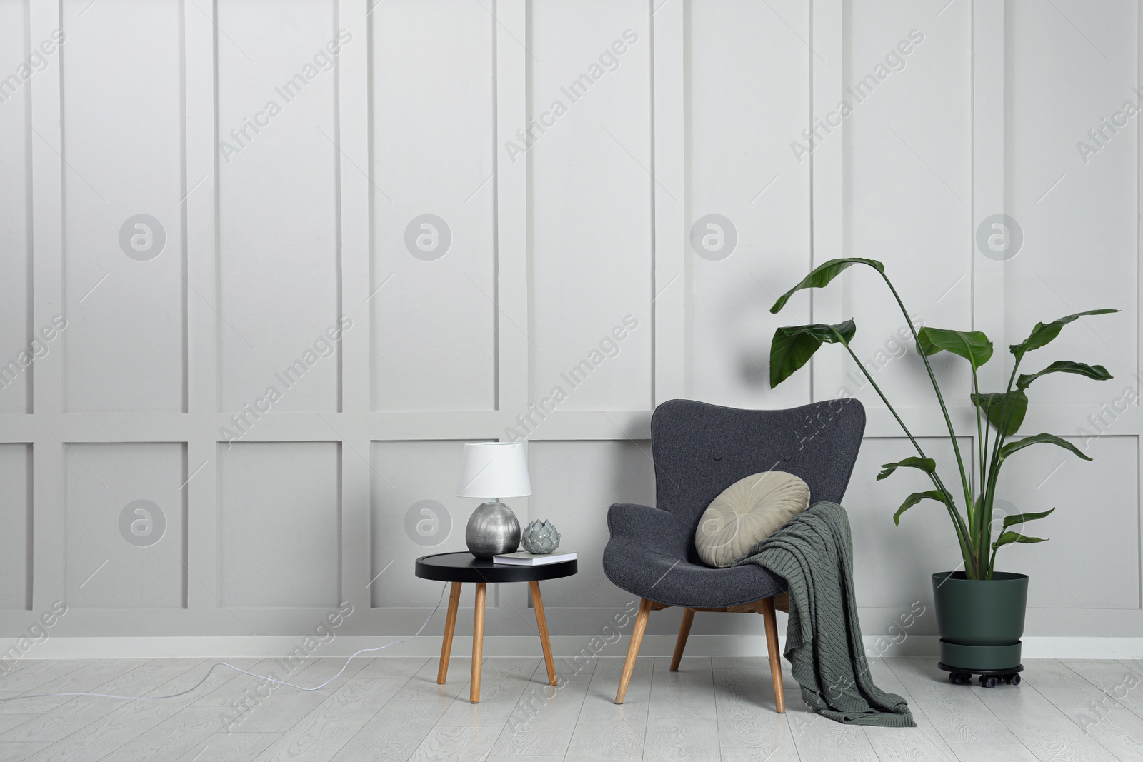 Photo of Comfortable armchair, table with lamp and houseplant near light grey wall in room, space for text. Interior design