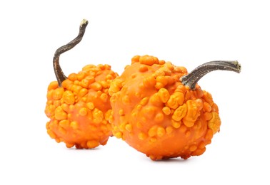 Photo of Two fresh orange pumpkins isolated on white