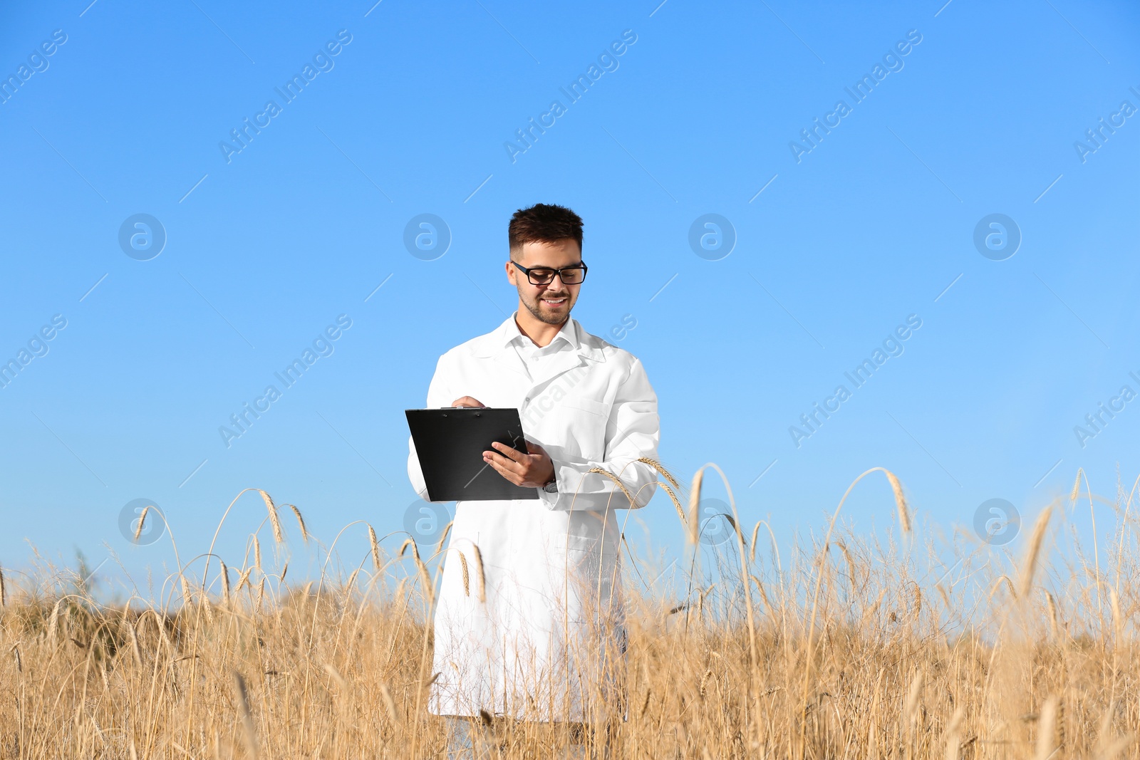 Photo of Agronomist with clipboard in wheat field. Cereal grain crop