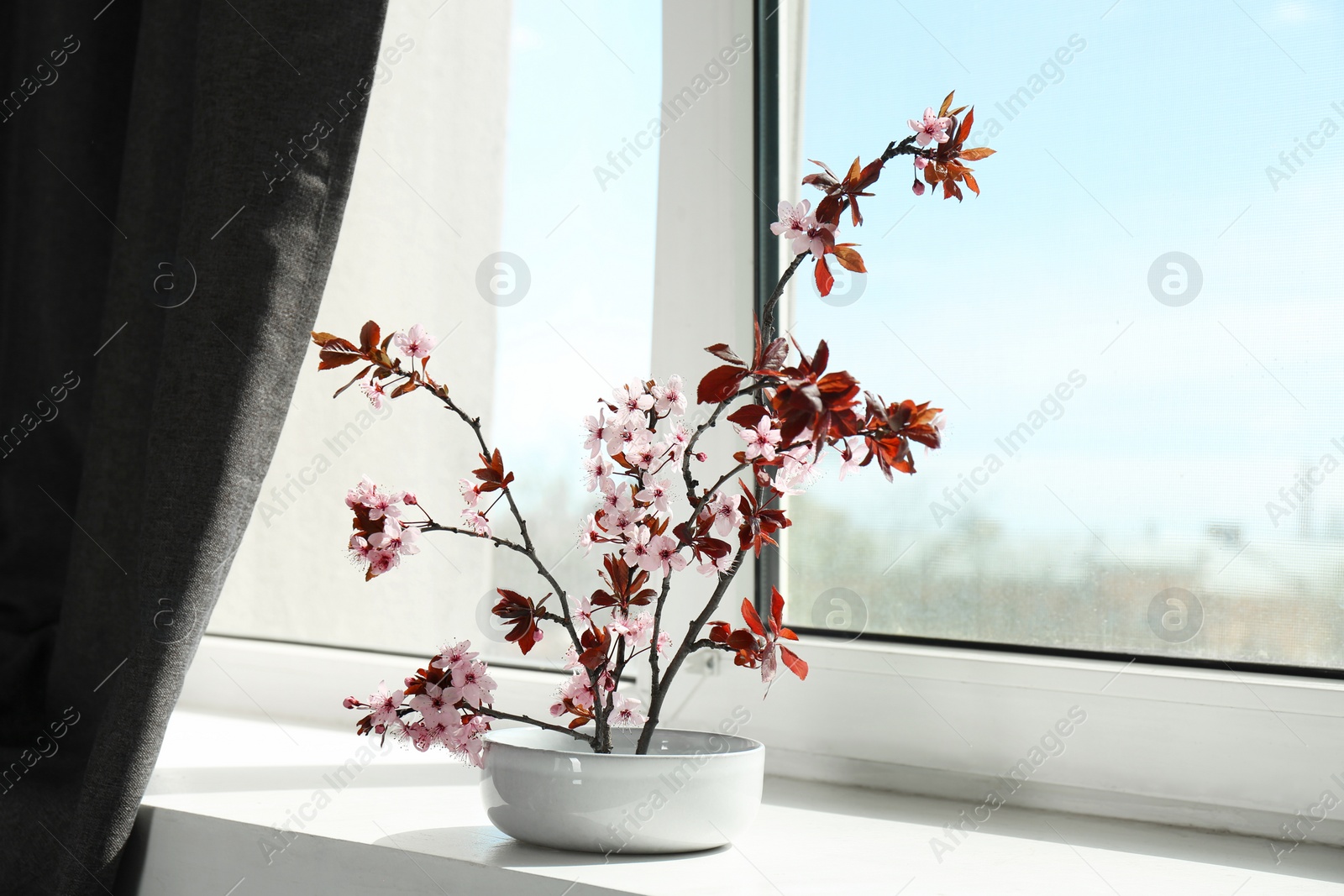 Photo of Spring season. Composition with beautiful blossoming tree branches on windowsill