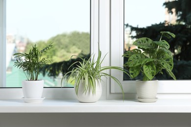Photo of Different potted houseplants on white window sill